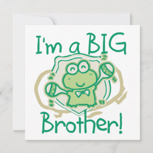 Sapo Big Brother