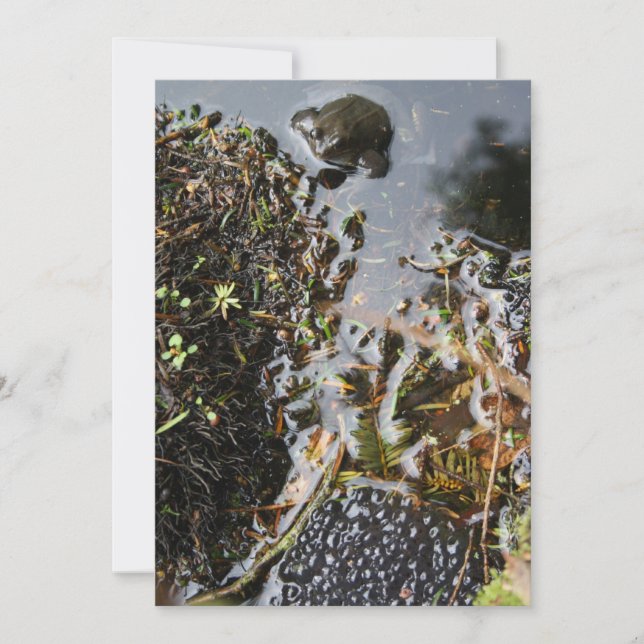 Sapo com Convite para Geração de Sapos (Frente)