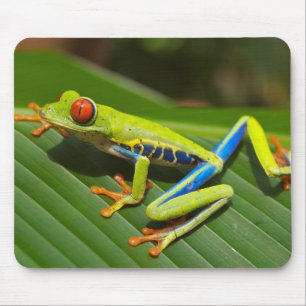 Sapo de árvore Eyed vermelho Mousepad