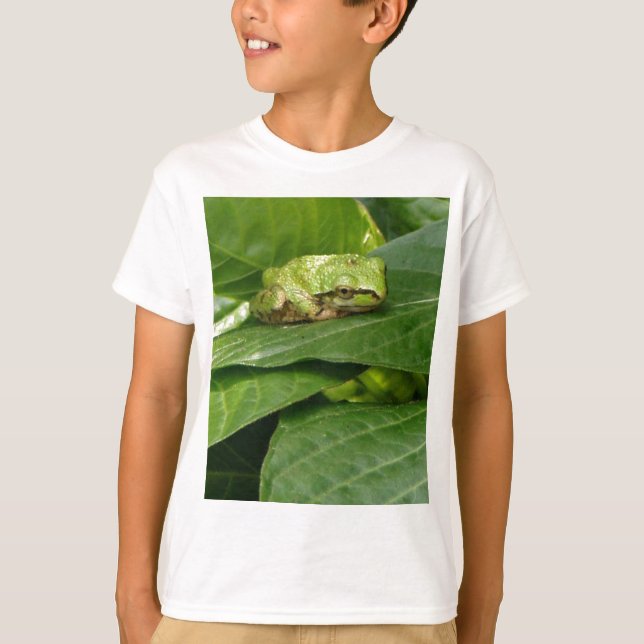 Sapo de árvore pacífico - t-shirt (Frente)