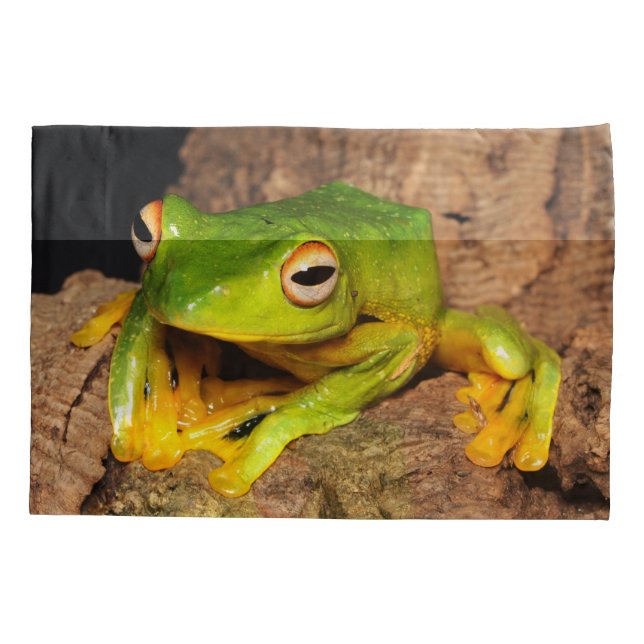 Sapo de deslizamento Preto-Webbed vietnamiano (Verso)