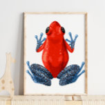 Sapo de Perna Vermelha Azul | Impressão digital<br><div class="desc">Sapo de Perna Vermelha Azul | Impressão digital - A nossa Coleção de Impressões de Muro do Sapo parecerá excelente no quarto do seu filho.</div>