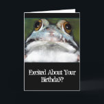 Sapo engraçado, cartão de aniversário: Arte<br><div class="desc">O subtítulo "excitado sobre seu aniversário?" desmente a expressão calma do sapo que olha fixamente fora da imagem.  Os trabalhos artísticos originais eram withPastels feitos.</div>