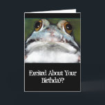 Sapo engraçado, cartão de aniversário: Arte<br><div class="desc">O subtítulo "excitado sobre seu aniversário?" desmente a expressão calma do sapo que olha fixamente fora da imagem.  Os trabalhos artísticos originais eram withPastels feitos.</div>