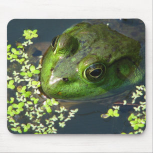 Sapo Mousepad