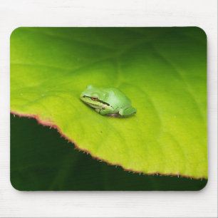 Sapo Mousepad de Lil