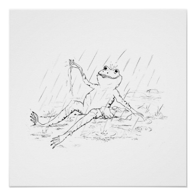 Sapo na impressão de chuva (parte 3 de um conjunto (Frente)