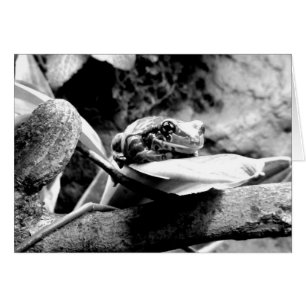 Sapo no Cartão de Saudação Leaf B+W