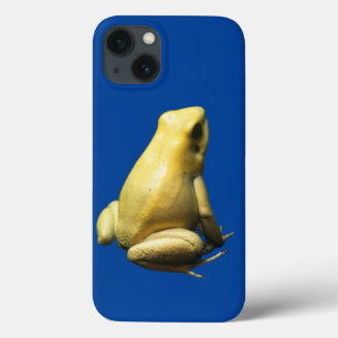 Sapo ouro Veneno