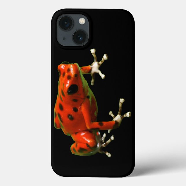 Sapo Red Poison Dart (Verso)