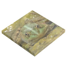 Sapo Verde Camuflado Contra A Cama Do Rio Atacado