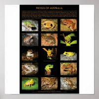 Sapos da Poster da Austrália