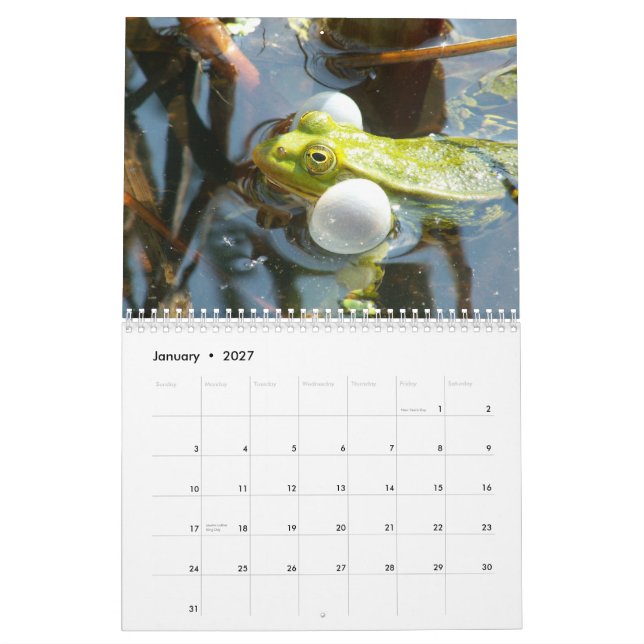 Sapos do calendário de mundo (Jan 2027)