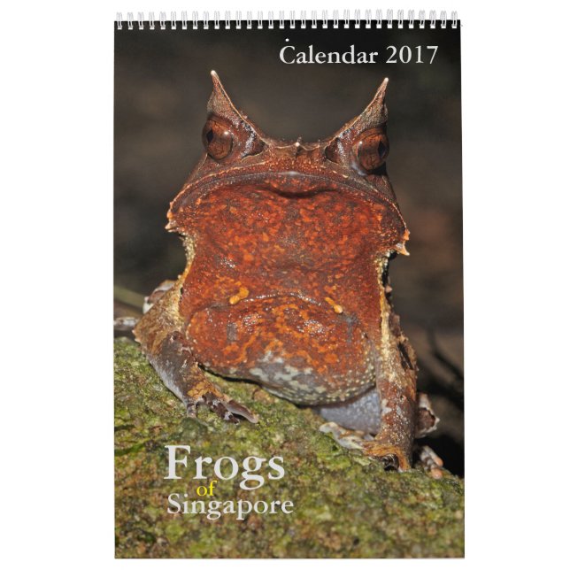 Sapos do calendário de Singapura 2017 (Capa)