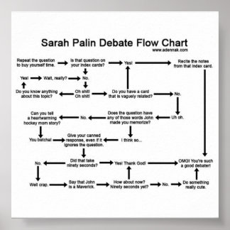 Sarah Palin Debate Fluxograma Poster