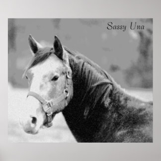 Sassy Una Impressão