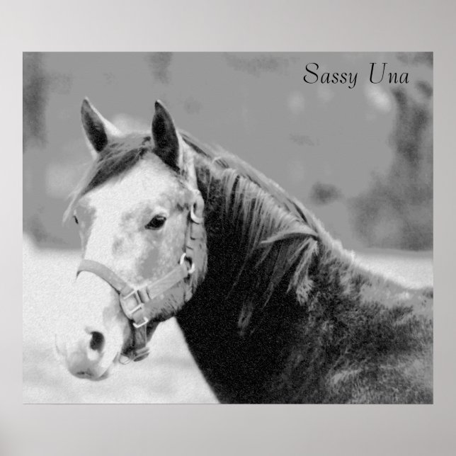 Sassy Una Impressão (Frente)