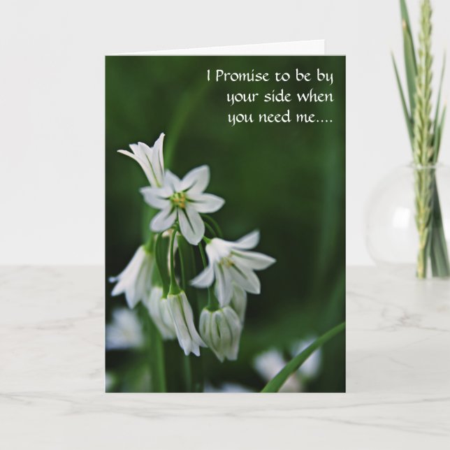 Saudação dos Melhores Amigos - Cartão de Dia de Am (Frente)