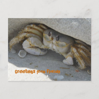 Saudações da Flórida cartão postal