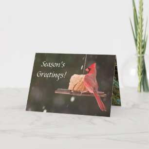 Saudações da temporada! Cartões de Natal
