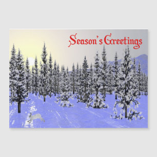 Saudações de Fim de Ano - Solstício de Inverno