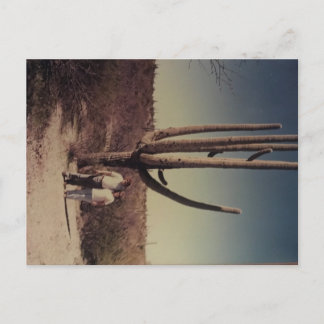 Saudações do cartão postal da Arizona!!