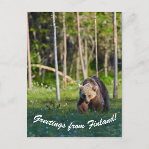 Saudações do cartão postal da Finlândia