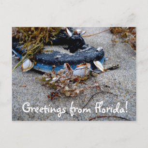 Saudações do Cartão Postal da Flórida