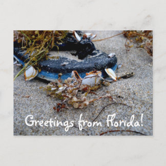 Saudações do Cartão Postal da Flórida