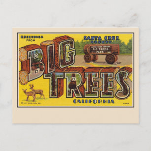 Saudações do cartão postal de letra grande de Sant