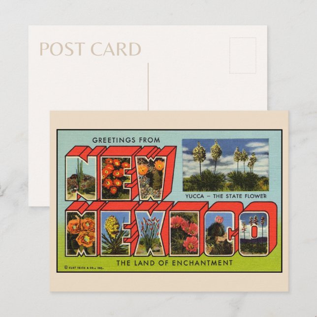 Saudações do Cartão Postal do Novo México (Frente/Verso)