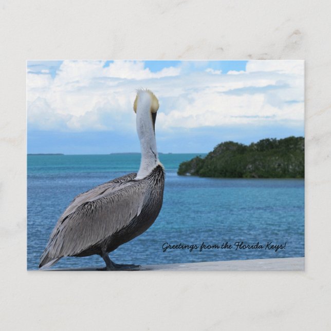 Saudações do cartão postal Florida Keys (Frente)