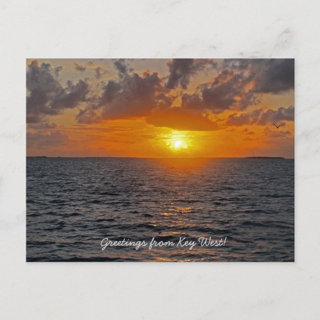 Saudações do cartão postal Key West (Frente)