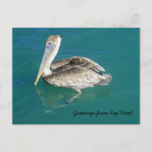 Saudações do cartão postal Key West