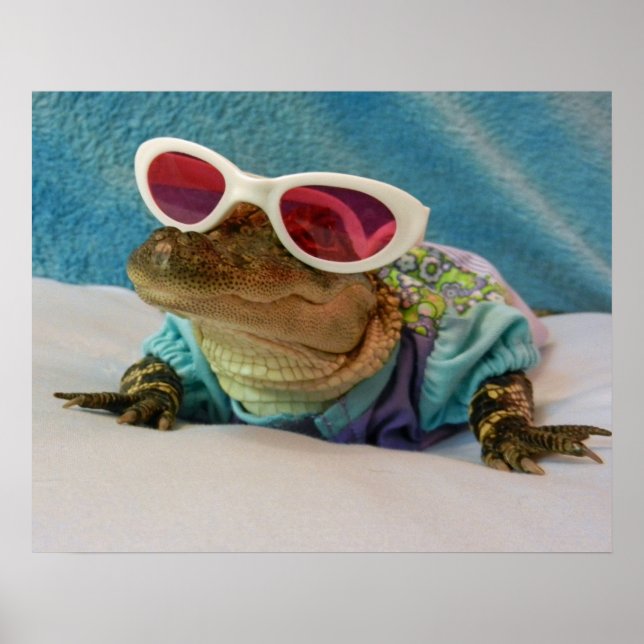 Saudações do Gator - Continue sorrindo Poster (Frente)