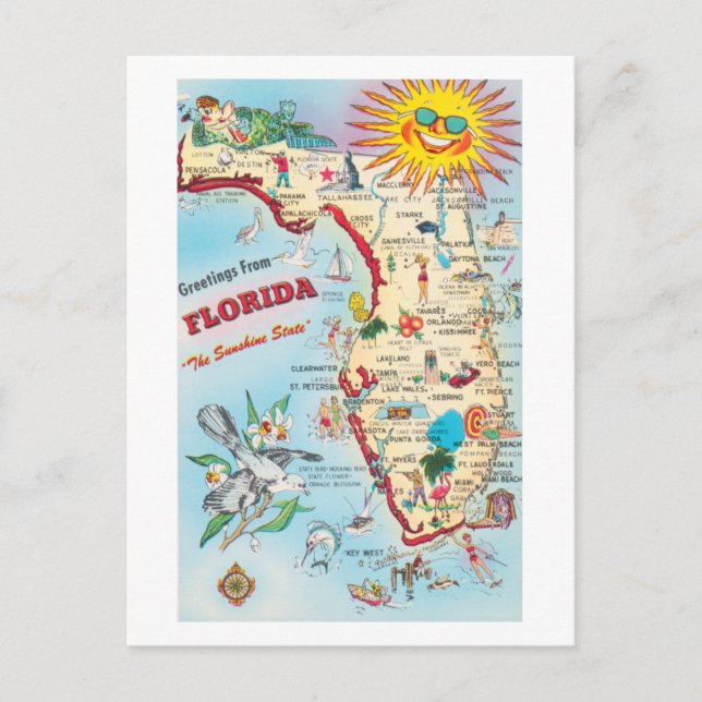 Saudações Dos Cartões Postais Vintage Da Flórida (Frente)