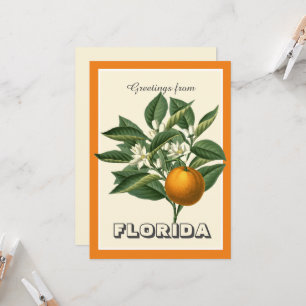 Saudações Vintage da Flórida com Fruta Laranja 