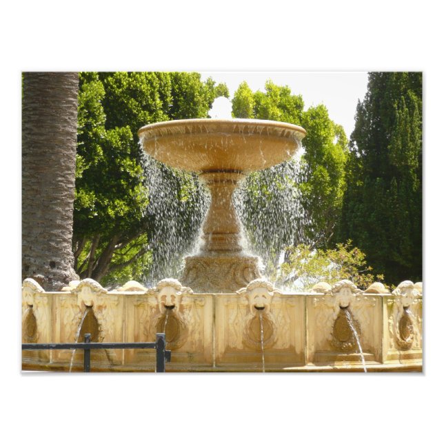 Sausalito Fountain California Viagem Fotografia (Frente)
