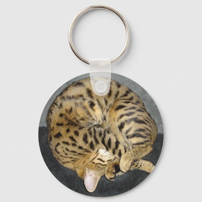 Savannah Cat Chaveiro (Frente)