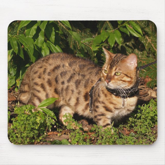 Savannah Cat Mousepad (Frente)