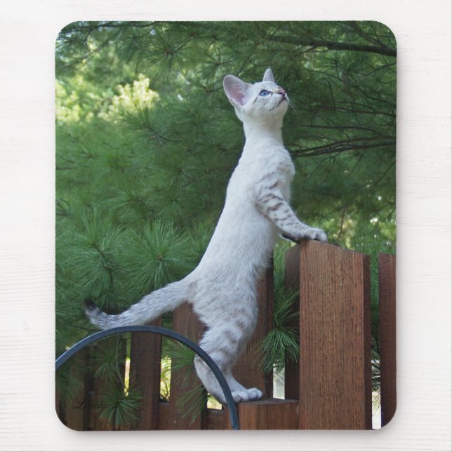 Savannah Cat Mousepad (Frente)