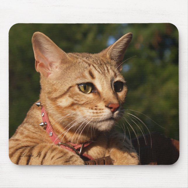 Savannah Cat Mousepad (Frente)