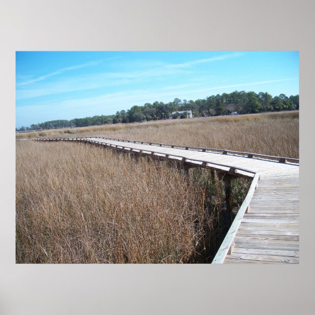 Savannah Georgia Tybee Island Path Poster GA (Frente)