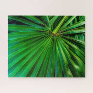 Saw Palmetto Fan Quebra-cabeça