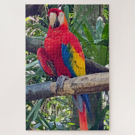 Scarlet Macaw Costa Rica Jigsera Quebra-cabeça