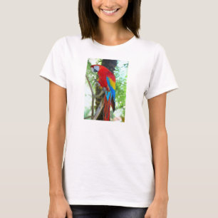 Scarlet Macaw, papagaio na camiseta feminina