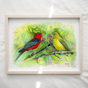 Scarlet Tanager Birds Watercolor Art Impressão