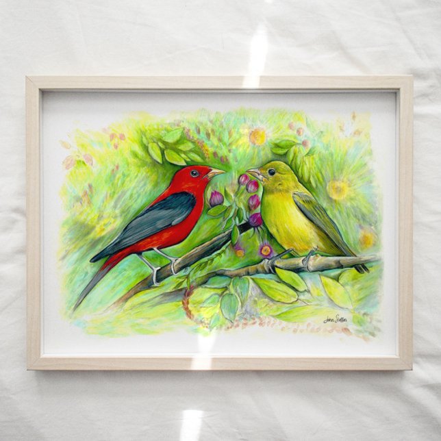 Scarlet Tanager Birds Watercolor Art Impressão (Criador carregado)