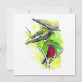 Scarlet Tanager Casal Art