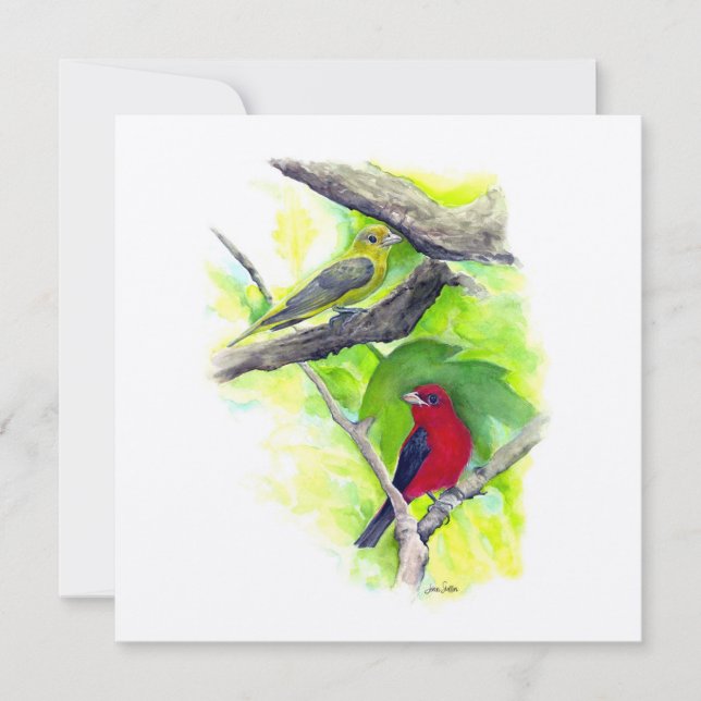 Scarlet Tanager Casal Art (Frente)